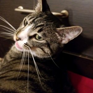 Meet your Posher, Katelyn